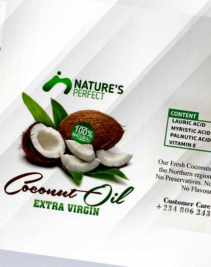 Natures perfect logo design graphic designer in Abuja, Nigeria