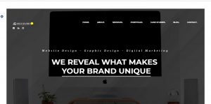 web-designer-agency-nigeria-abuja-website-developer-abuja