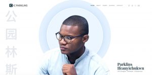 web-designer-company-nigeria-abuja-website-programmer-lagos