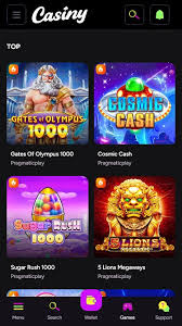Experience the Thrills at Casiny Casino
