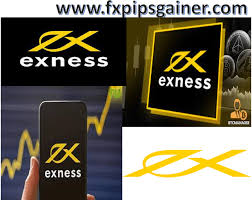 Understanding the Features of Exness MT5 Web Terminal