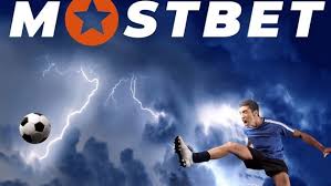 What to Look for in the Perfect Online Betting Platform What to Look for in the Perfect Online Betting Platform